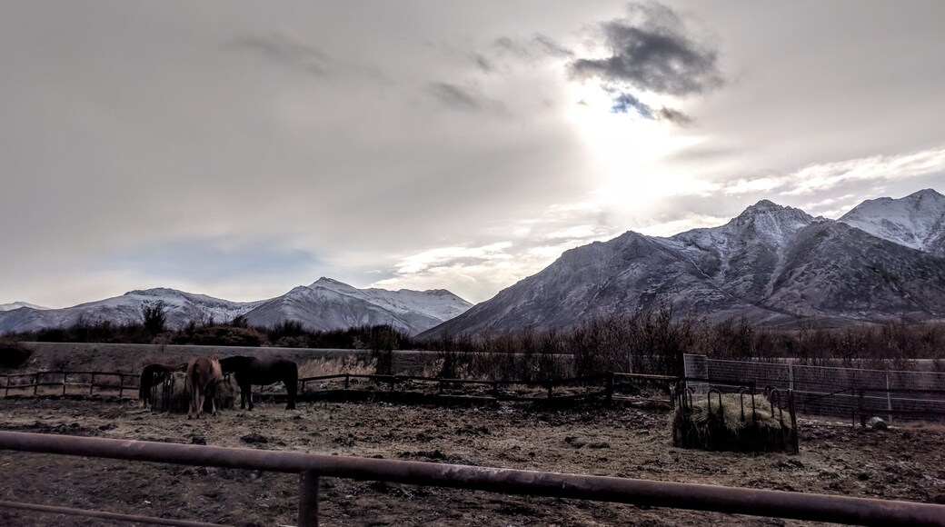 Happening upon a ranch in the middle of the mountains #yukon