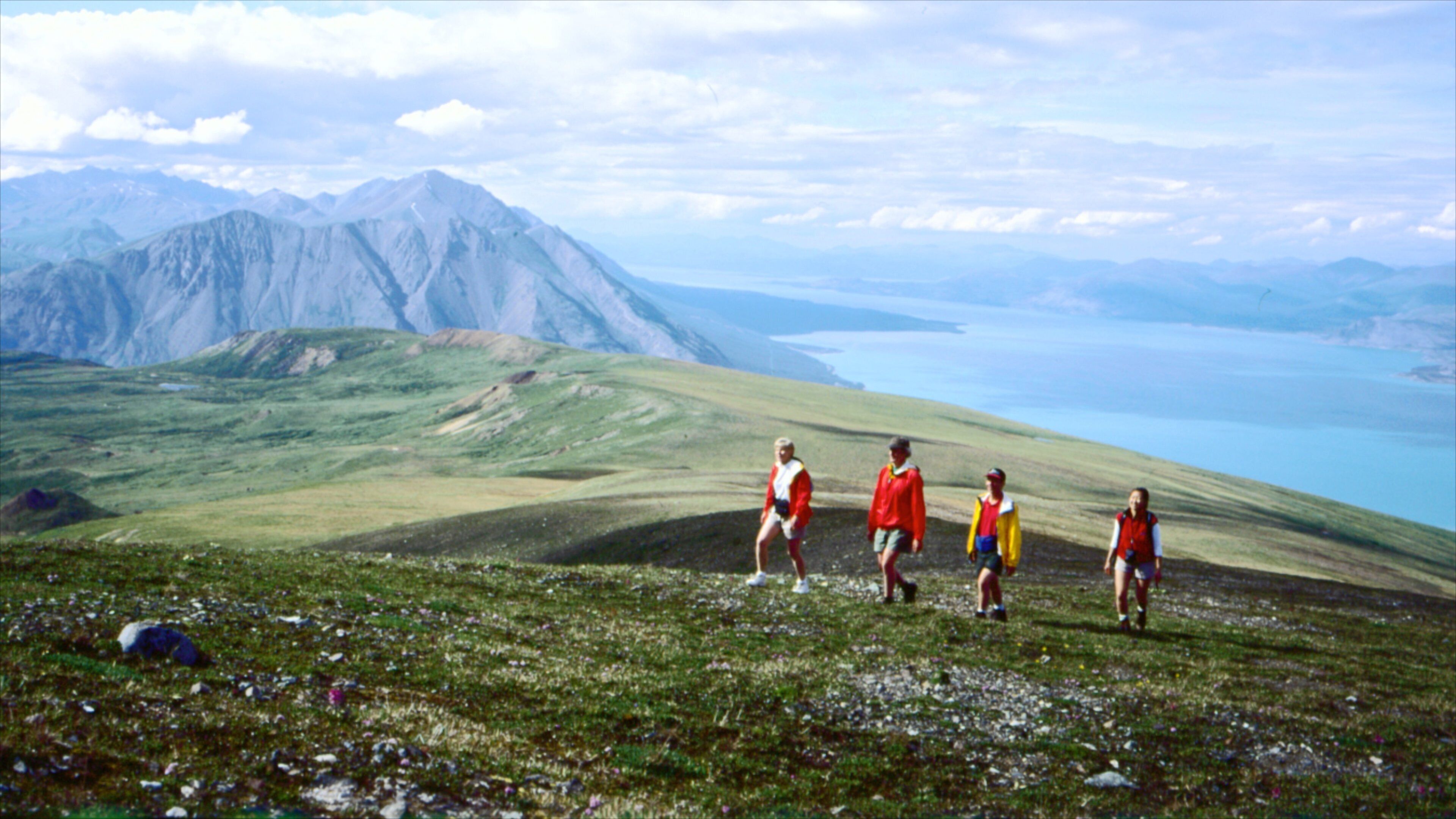 ユーコン フィーチャー ハイキングあるいはウォーキング 及び 少数の人々