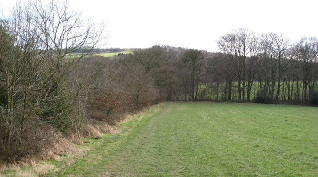 North East Derbyshire District