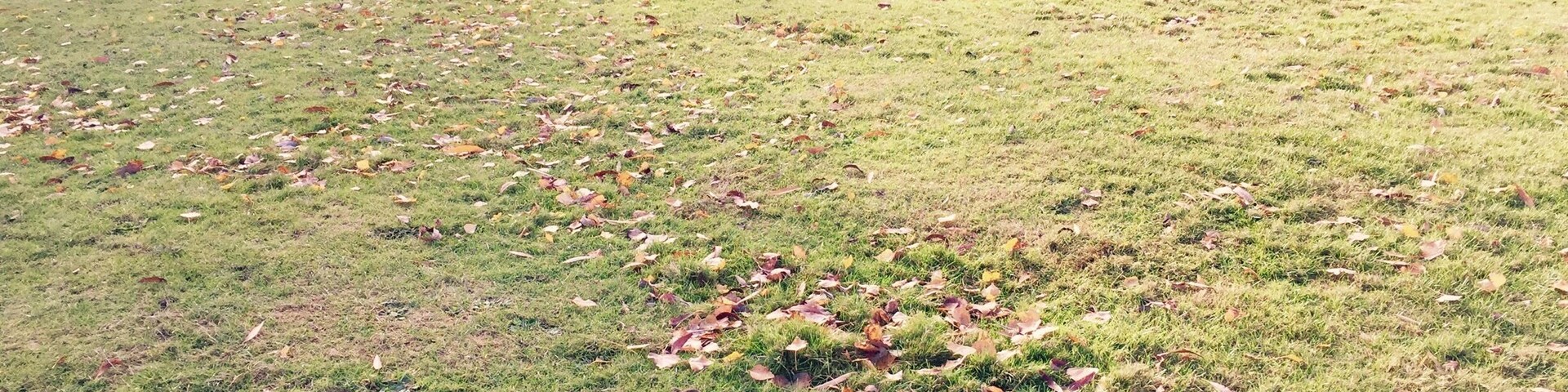 Autumn
