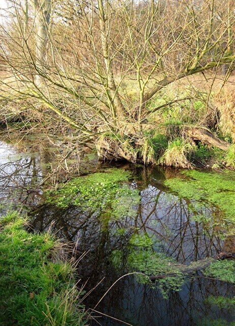 River Roach River Roach in Cherry Orchard Jubilee Country Park