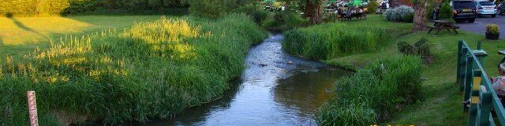 The River Thame at The Old Fisherman in Shabbington