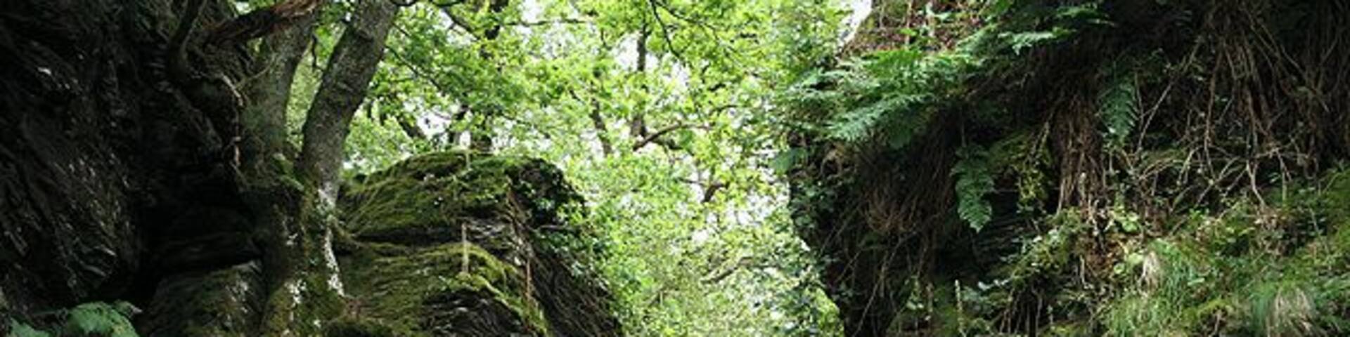 Whitchurch: path through rocks By the 'Goat Rock'. Path from Double Waters to Buckator and to Walreddon, below West Down and between the Tavy and Walkham valleys. Looking east-south-east