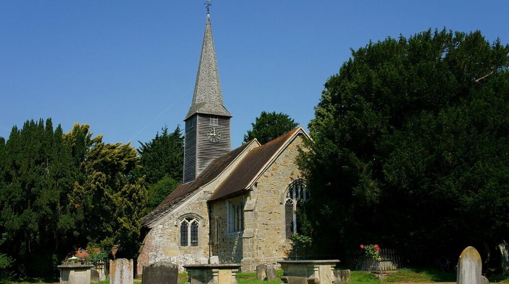 St George's parish church, Crowhurst, Surrey, seen from the southeast. To the right of the church is the Crowhurst Yew, an ancient tree thought to be up to 4000 years old. Despite the trunk being hollow, the tree seems to be in good health.