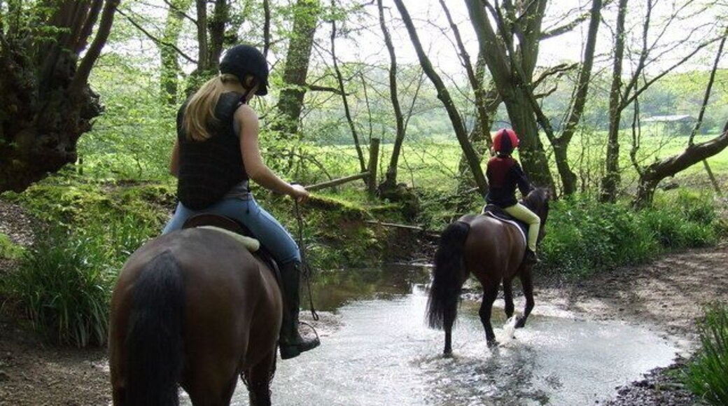 Spital Brook on Ermine Street Spital Brook flows east to the River Lea and on its way crosses the Roman Road Ermine Street. It flows from the bottom right of the picture across to the trees between these two horses. Today the brook is 9-12" deep but can be up to 2 foot deep when in flood.