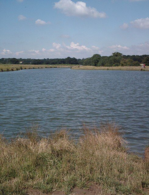New reservoir - view west About two years after creation the new lake is slowly maturing with a number of duck and moorhen families in residence.