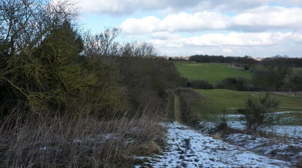 Footpath through golf course The path goes north towards Bradway, from Barnes Lane