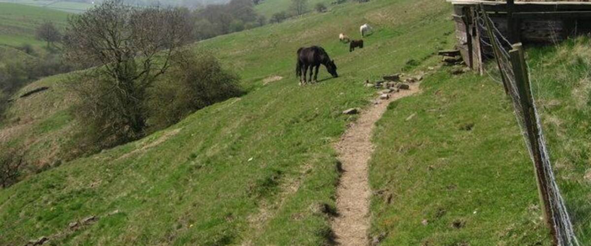 Cheese Gate Nab. Taken from the fields south of Mill Shaw Lane on the Barnsley Boundary Walk. Upper Millshaw Hall Farm, beyond the horses, nestles under Cheese Gate Nab, a gentle Pennine escarpment which rises to 385m (1263ft).