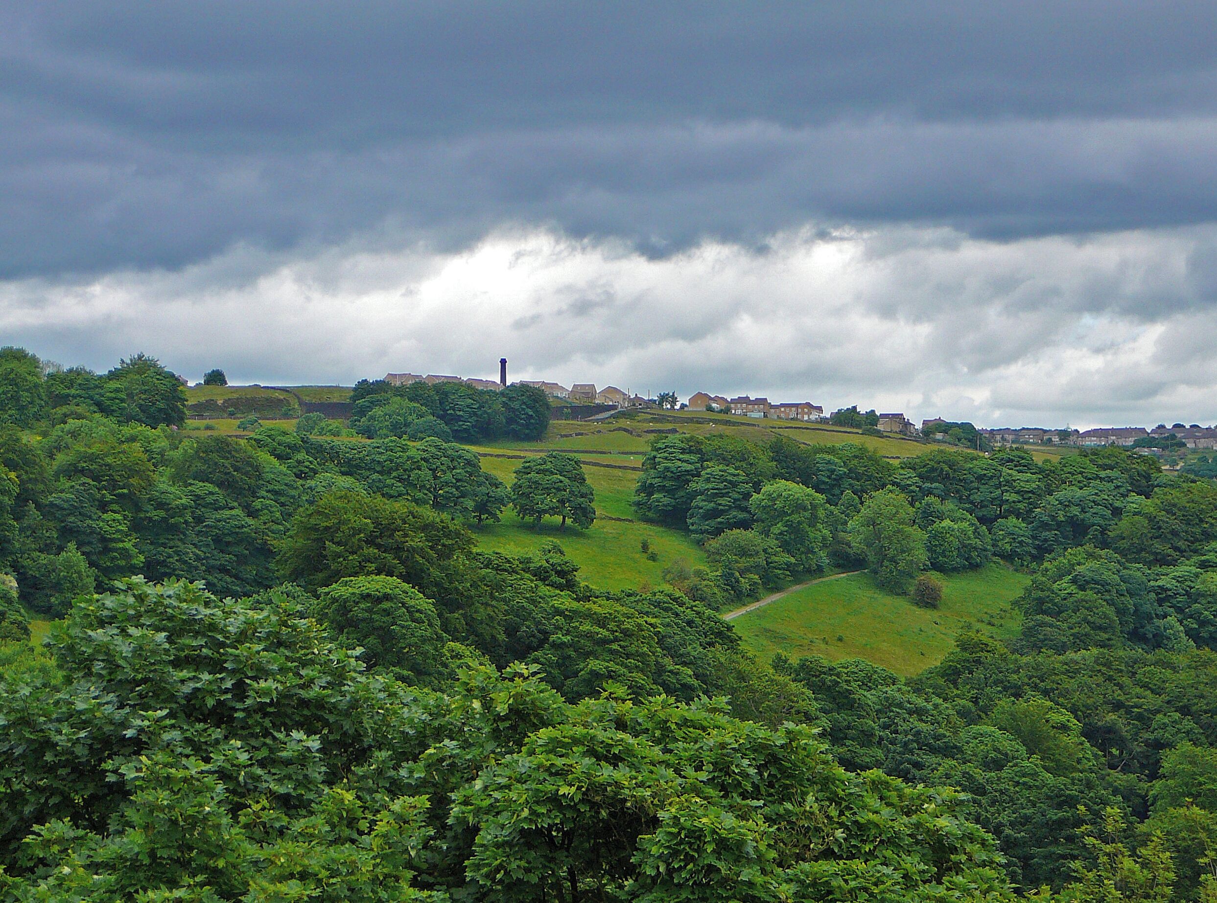 Paisagem verde exuberante com colinas ondulantes, árvores densas e uma vista distante de uma cidade com edifícios e uma torre.