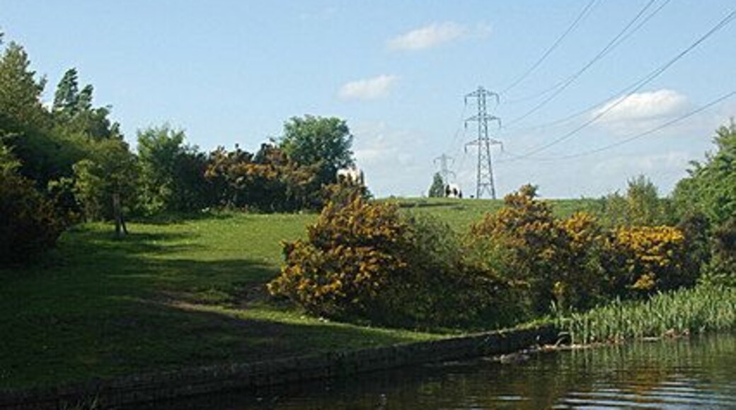 Deceptively tranquil An almost idyllic scene next to the roaring M6.
