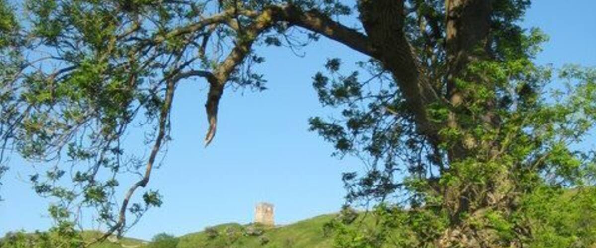 Parsons Folly, Bredon Hill. Parson's Folly is 39 feet high and stands on the summit of Bredon Hill which is 961 feet above sea level. viewed from the path up from Woollas Hall Farm. See the same scene in snow 758017