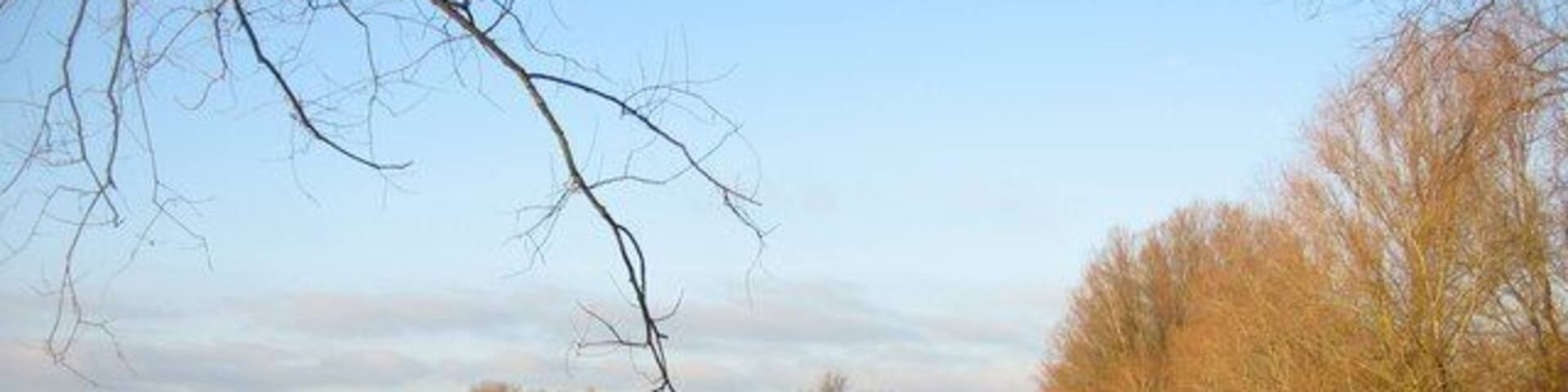 Drayton Lagoon As seen from the east bank. Fen Drayton Lakes nature reserve - RSPB.