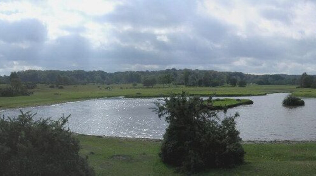 Sturtmoor Pond, Plaitford Common, New Forest. Looking east across the pond. This part of the common is owned by the National Trust and was only incorporated into the New Forest boundary in the 1960s.