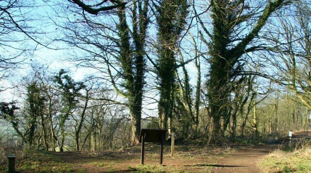 Distrito de Ashfield