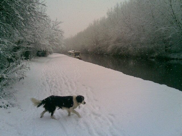 Grand Union Canal in the Snow