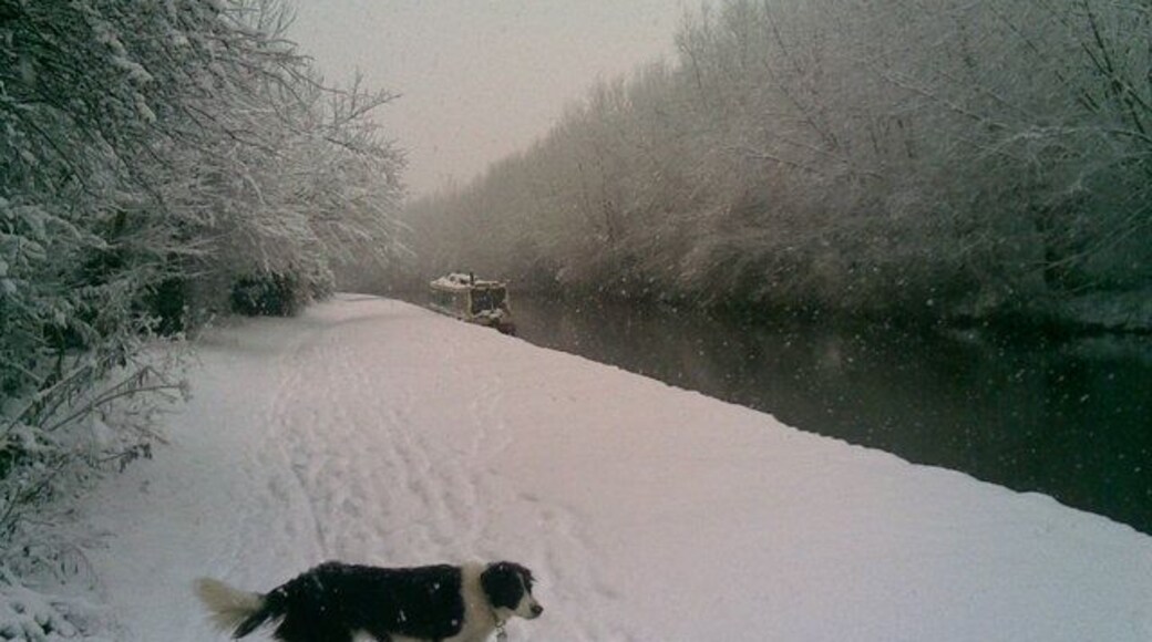 Grand Union Canal in the Snow
