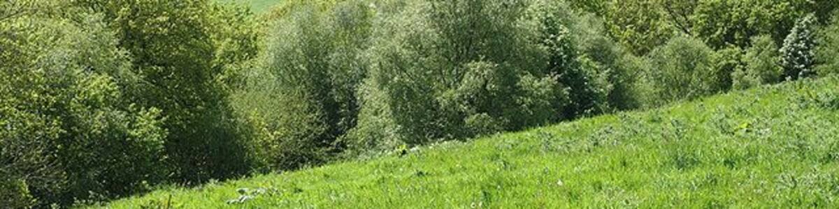 Clayhidon: overlooking the Bolham valley. Looking south west from a public footpath which runs along near the top of Bolham Hill to Ridgewood