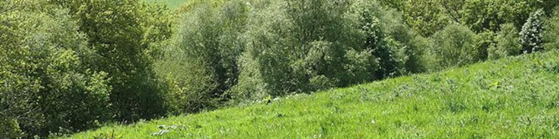 Clayhidon: overlooking the Bolham valley. Looking south west from a public footpath which runs along near the top of Bolham Hill to Ridgewood