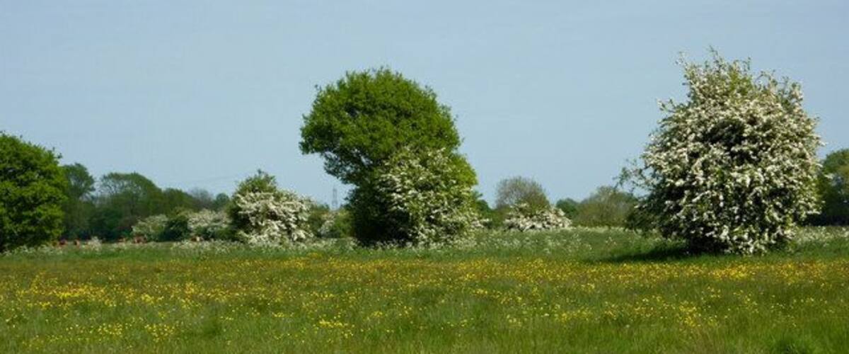 Pond near Pountney Hall The large pond is shown on the 1:25,000 map.