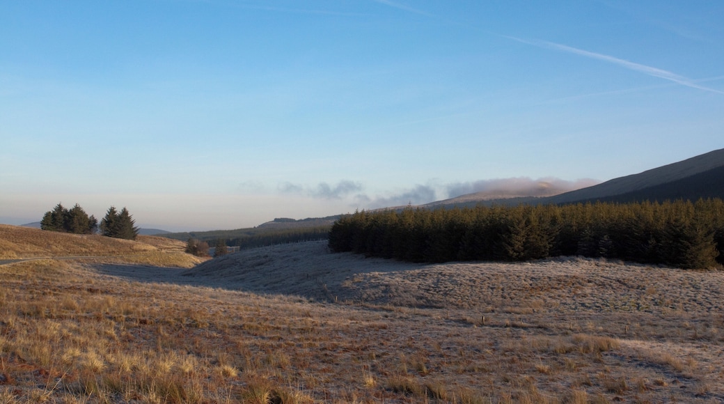 Frosty Campsie Fells