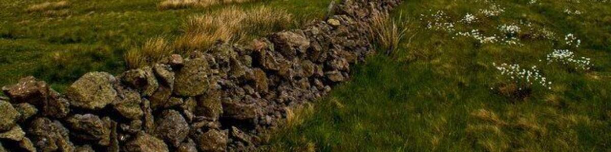 Carron Dam Taken from near the Weather Station at Holehead on the Campsie Fells looking towards the Carron Dam.