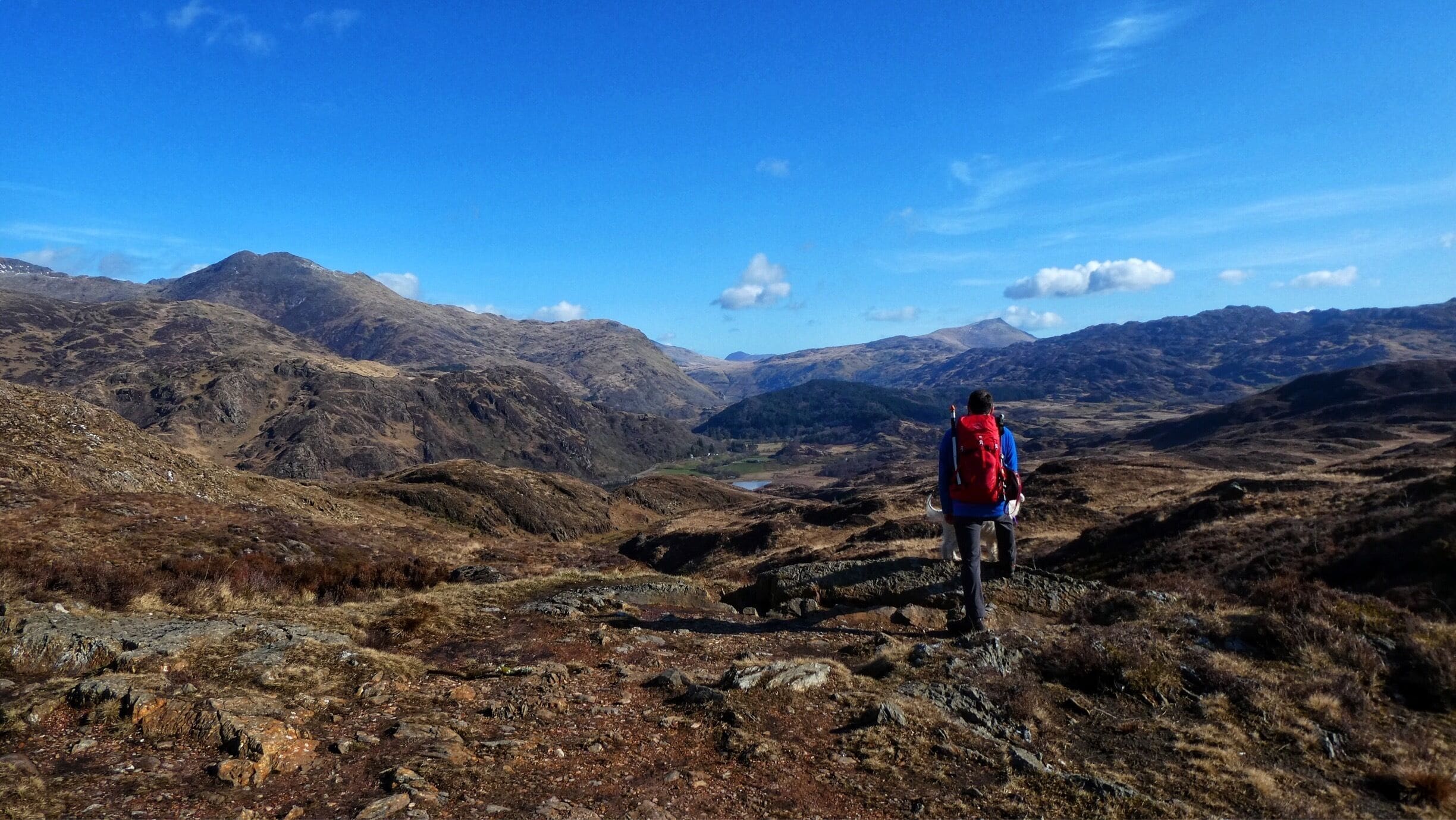 One man and his dog ❤️