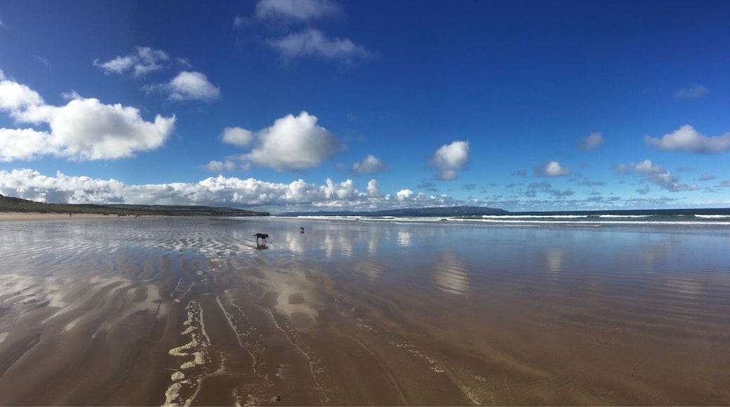 Portstewart Strand