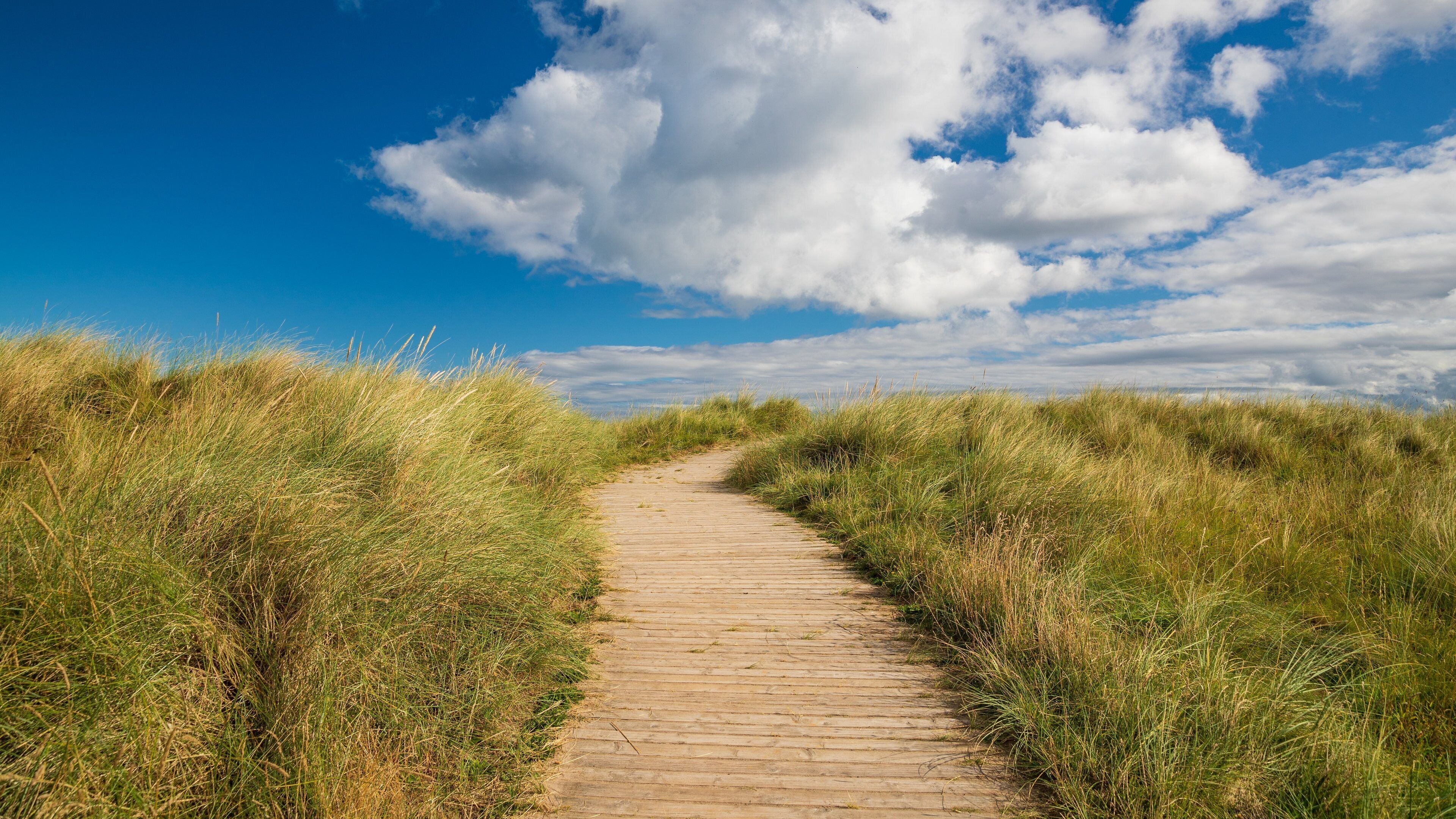 Northern Ireland showing tranquil scenes