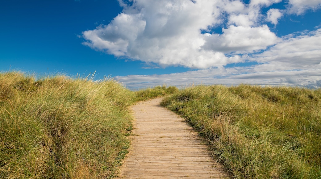 Northern Ireland showing tranquil scenes