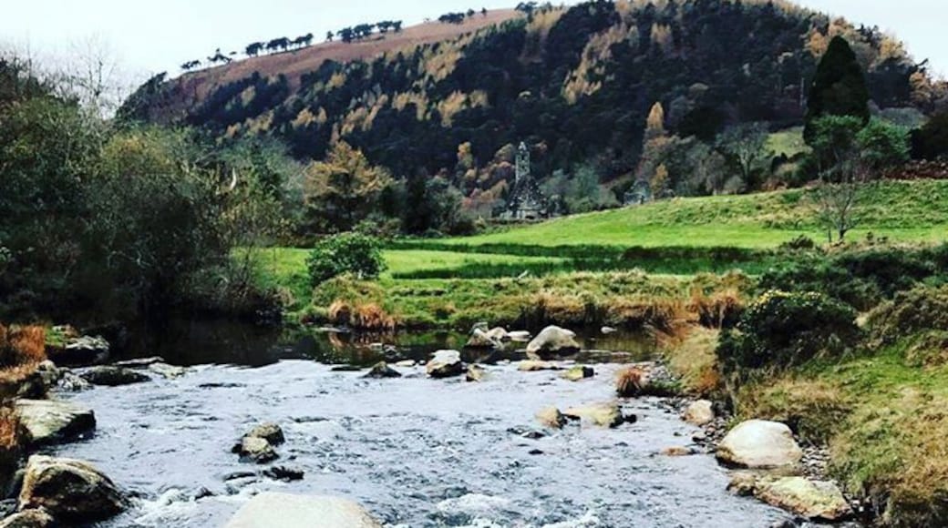 Gorgeous views in Glendalough! We did a hike though a state park.