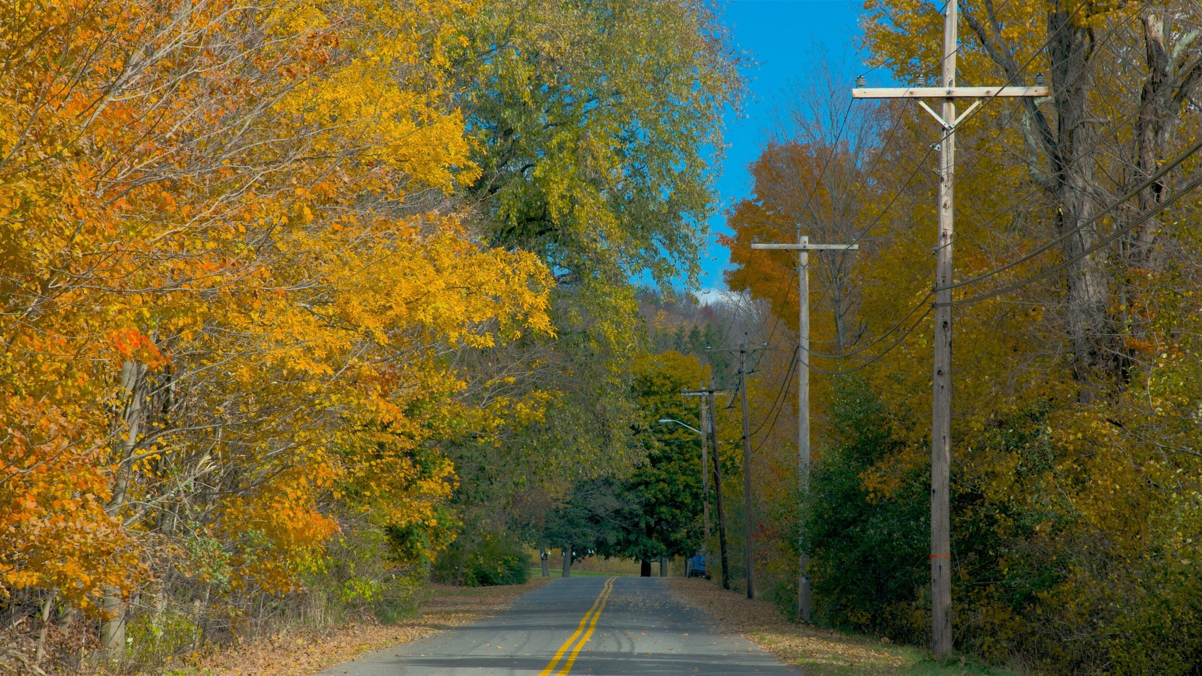 Hancock featuring autumn colours