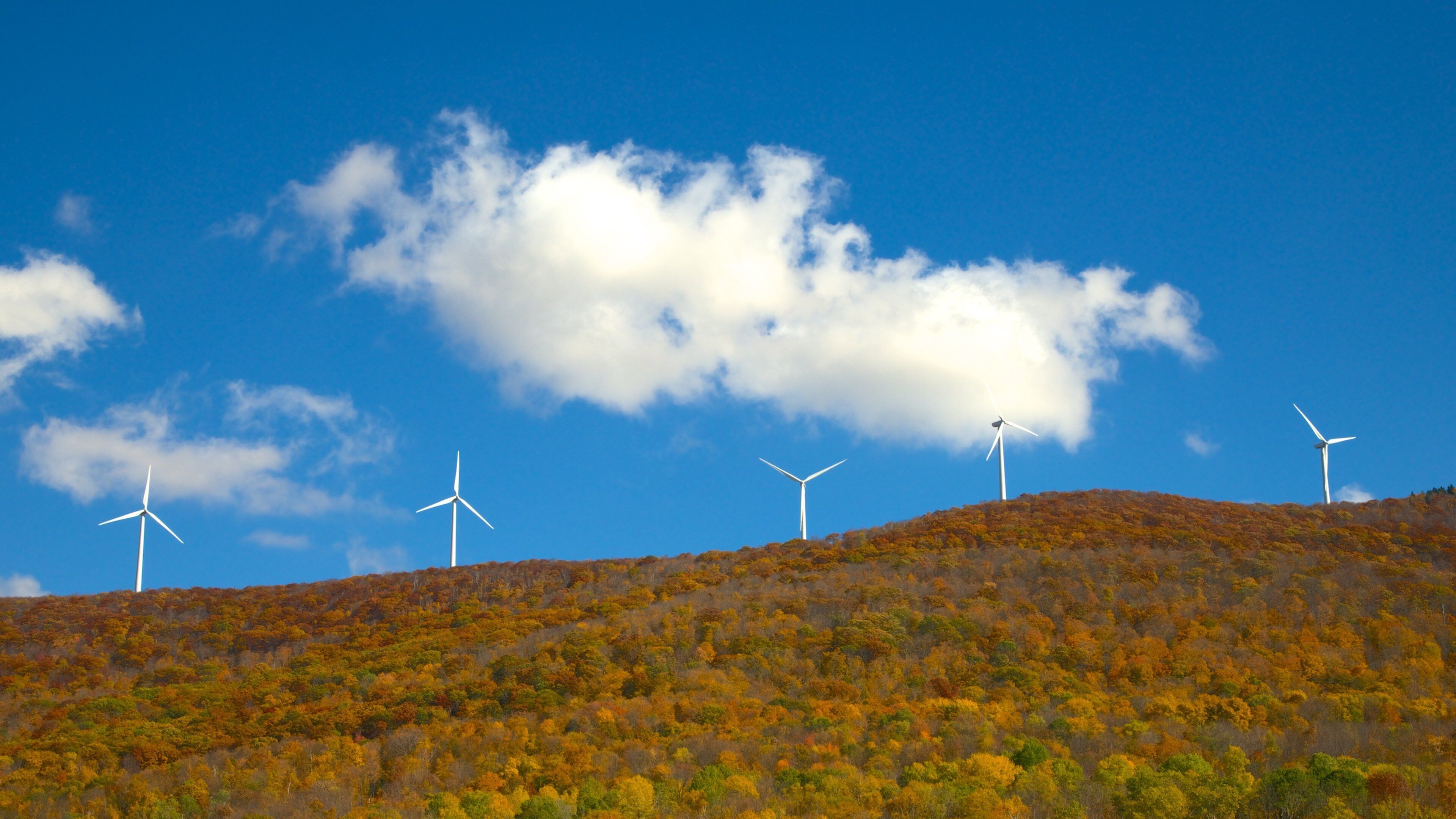 Hancock featuring autumn leaves