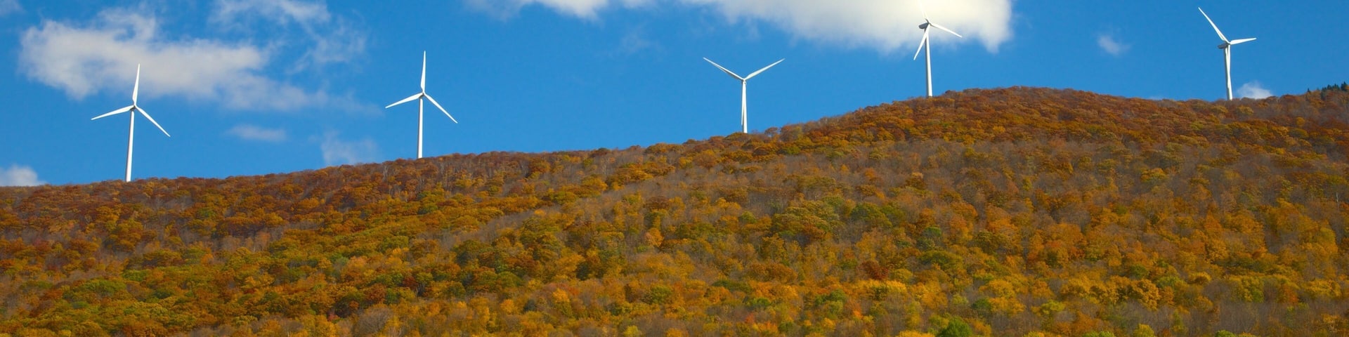 Hancock welches beinhaltet Herbstfarben