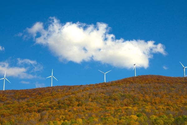 Hancock montrant feuilles d\'automne