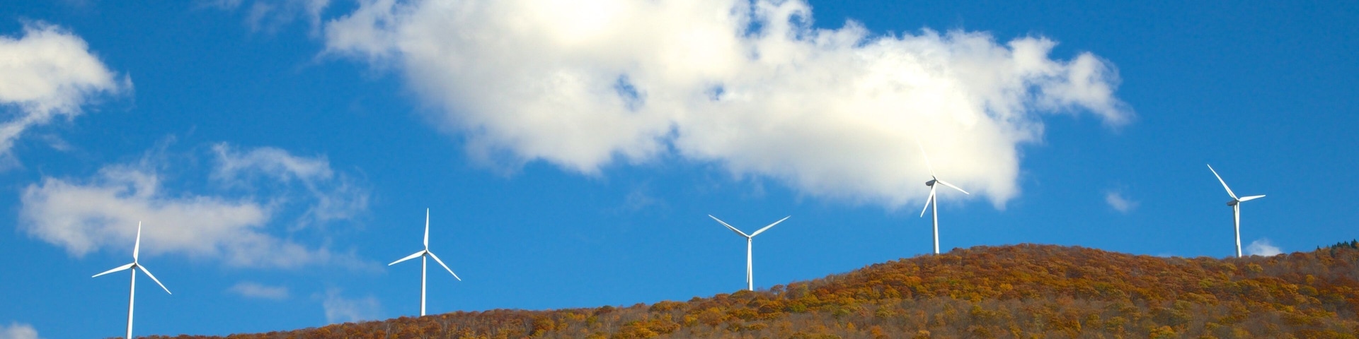 Hancock featuring fall colors