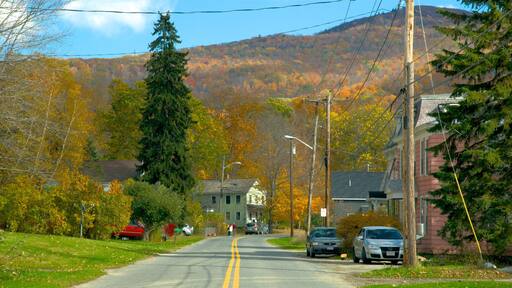 Hancock showing tranquil scenes and a small town or village
