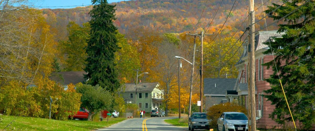 A road lined with autumn-colored trees, a green house, and a mountain in the background.