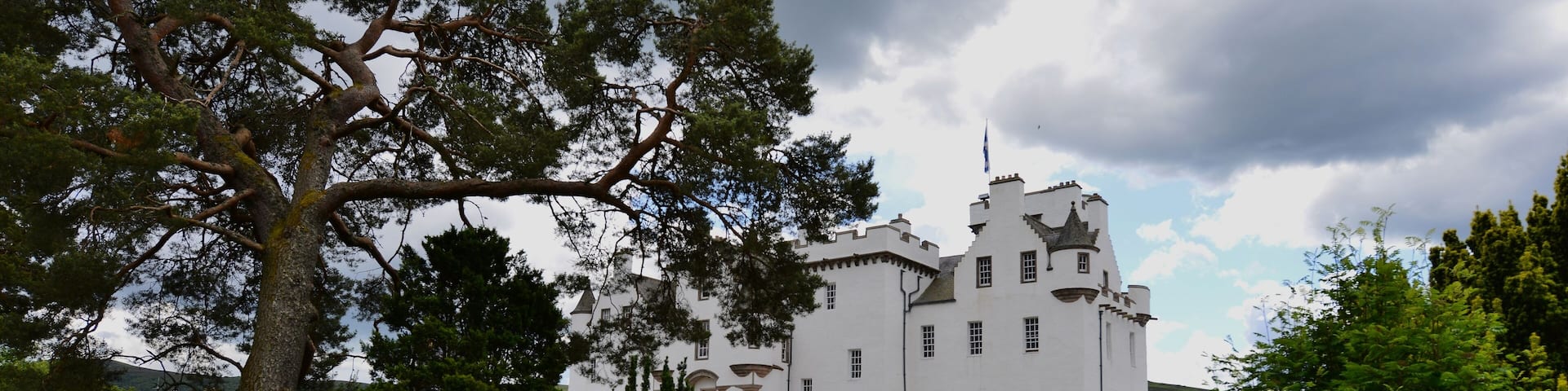 A large white castle surrounded by lush greenery and trees.
