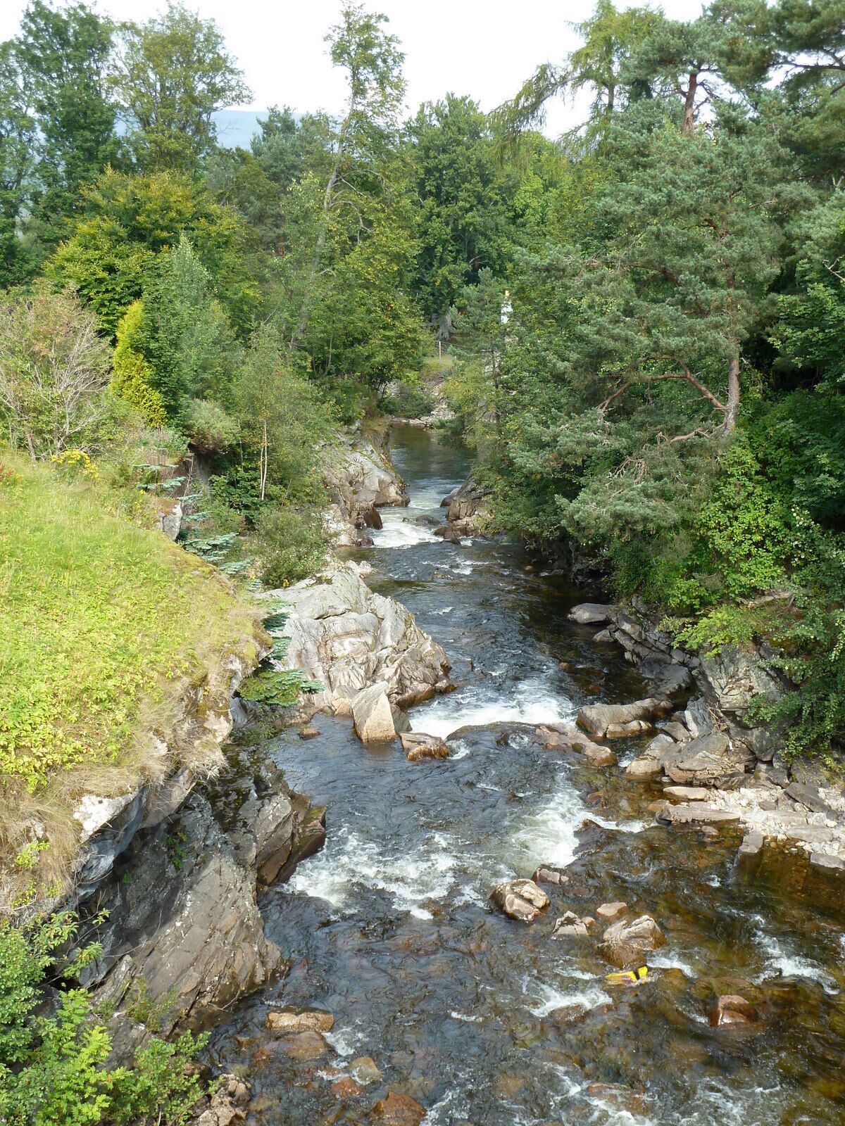 A rocky river flowing through a forested area with dense trees and greenery.