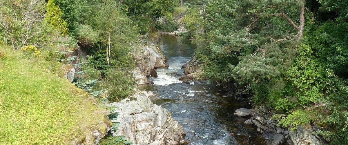 A rocky river flowing through a forested area with dense trees and greenery.