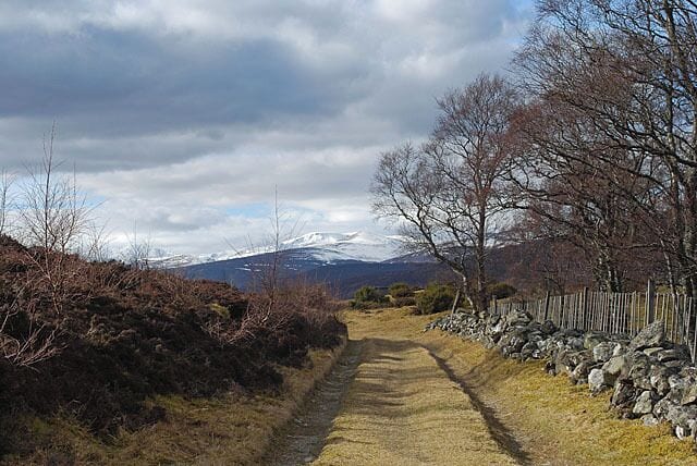 A rural path with a stone wall on one side and a mountain in the background.