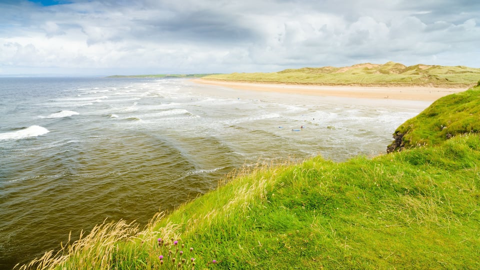 A coastal landscape with a sandy beach, grassy dunes, and a body of water with waves.