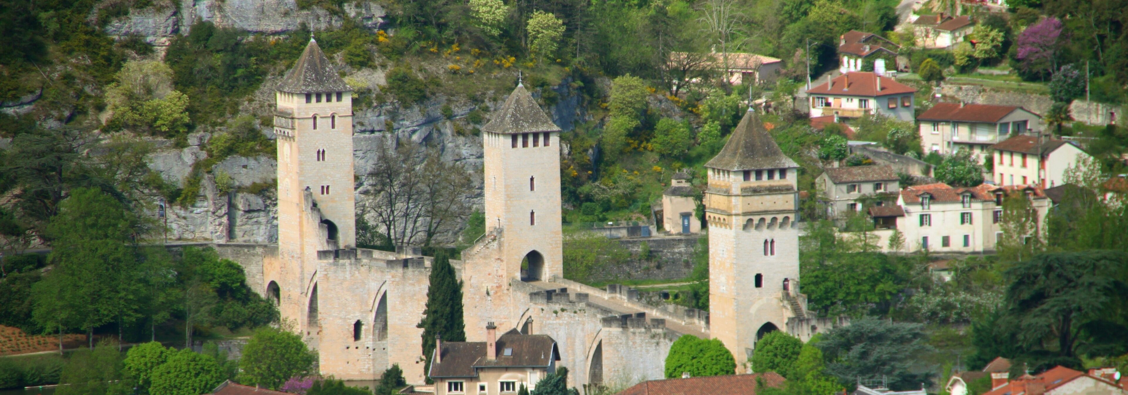 A historic castle with two prominent towers, surrounded by lush greenery and residential buildings.