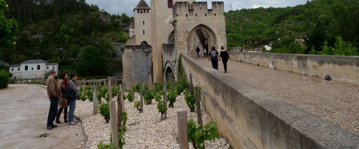 A medieval castle with a tall tower and arched entrance, surrounded by greenery and a cobblestone path.
