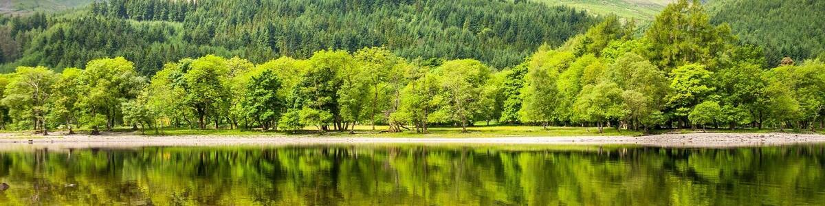 Un lac paisible, entouré d’une végétation luxuriante et de montagnes verdoyantes.