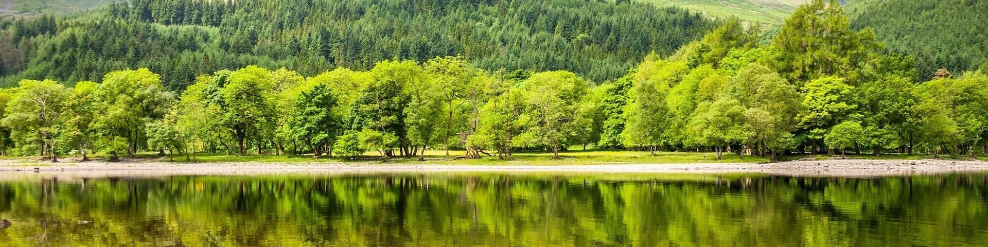 A calm lake surrounded by lush green trees and mountains.