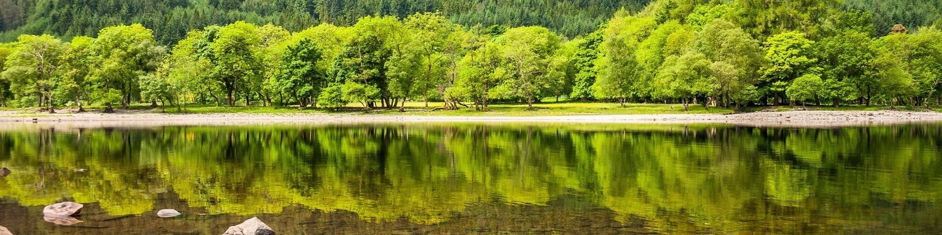 Un lago tranquilo rodeado de árboles verdes y exuberantes, y montañas.