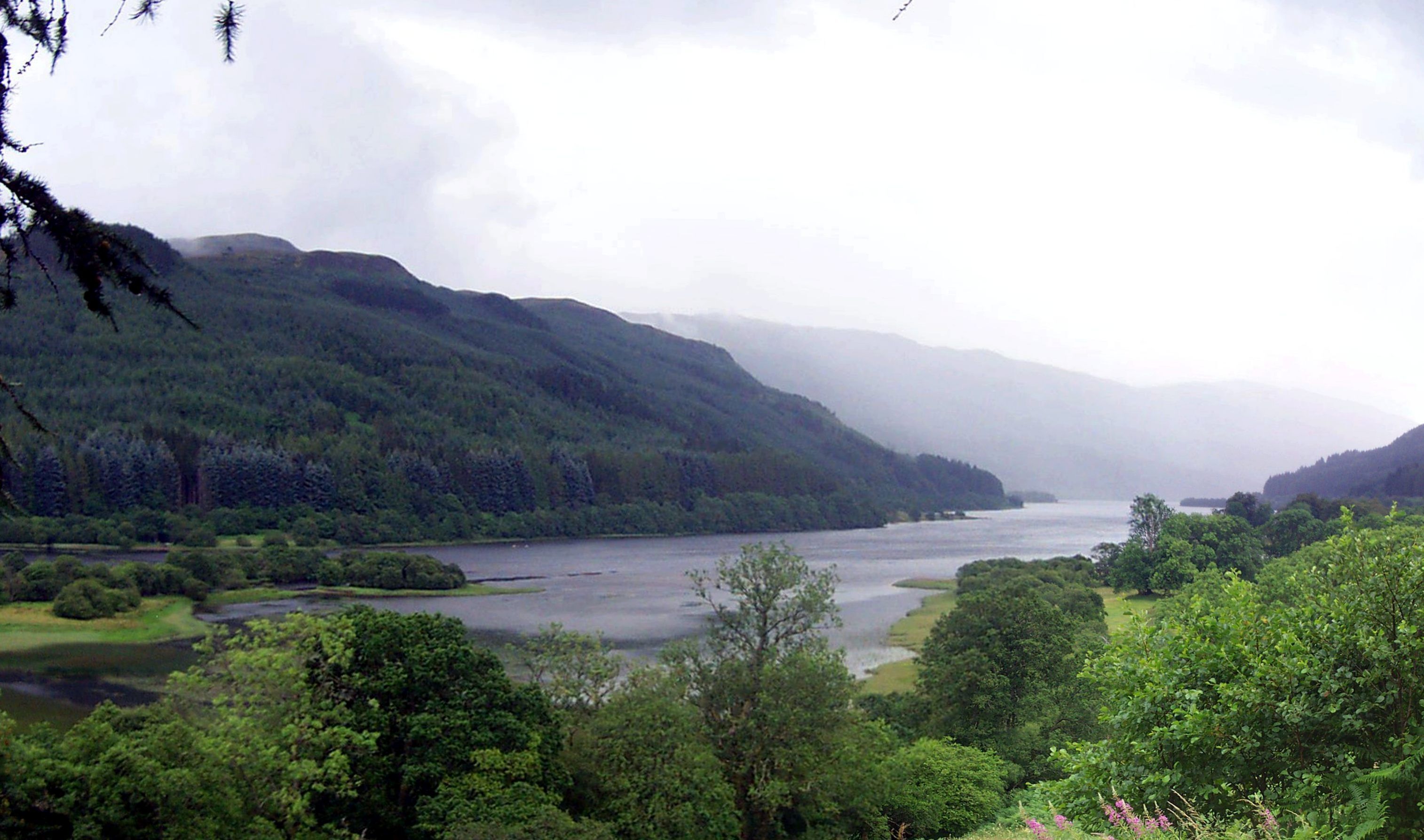A river winding through a forested valley with hills in the background.