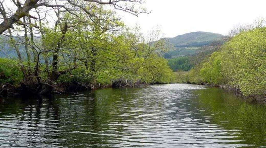 Yet another avenue of trees - but with the difference of water! Ben Vane is the hill in the distance.