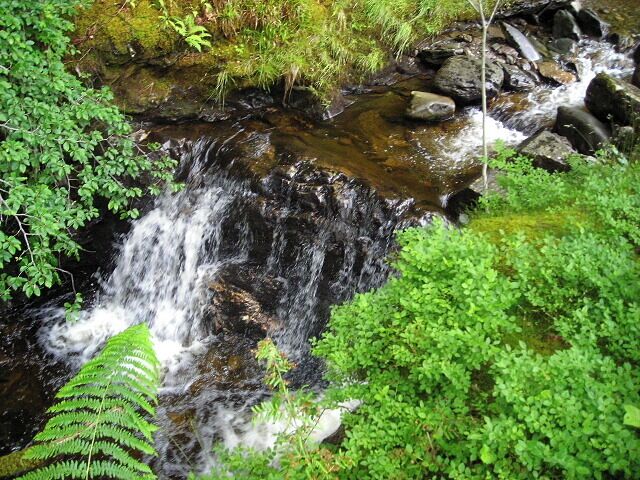 Waterfall in Strathyre Forest